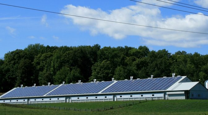 COP-26: Acordo assinado em Glasgow tem objetivo de acelerar a instalação da energia solar